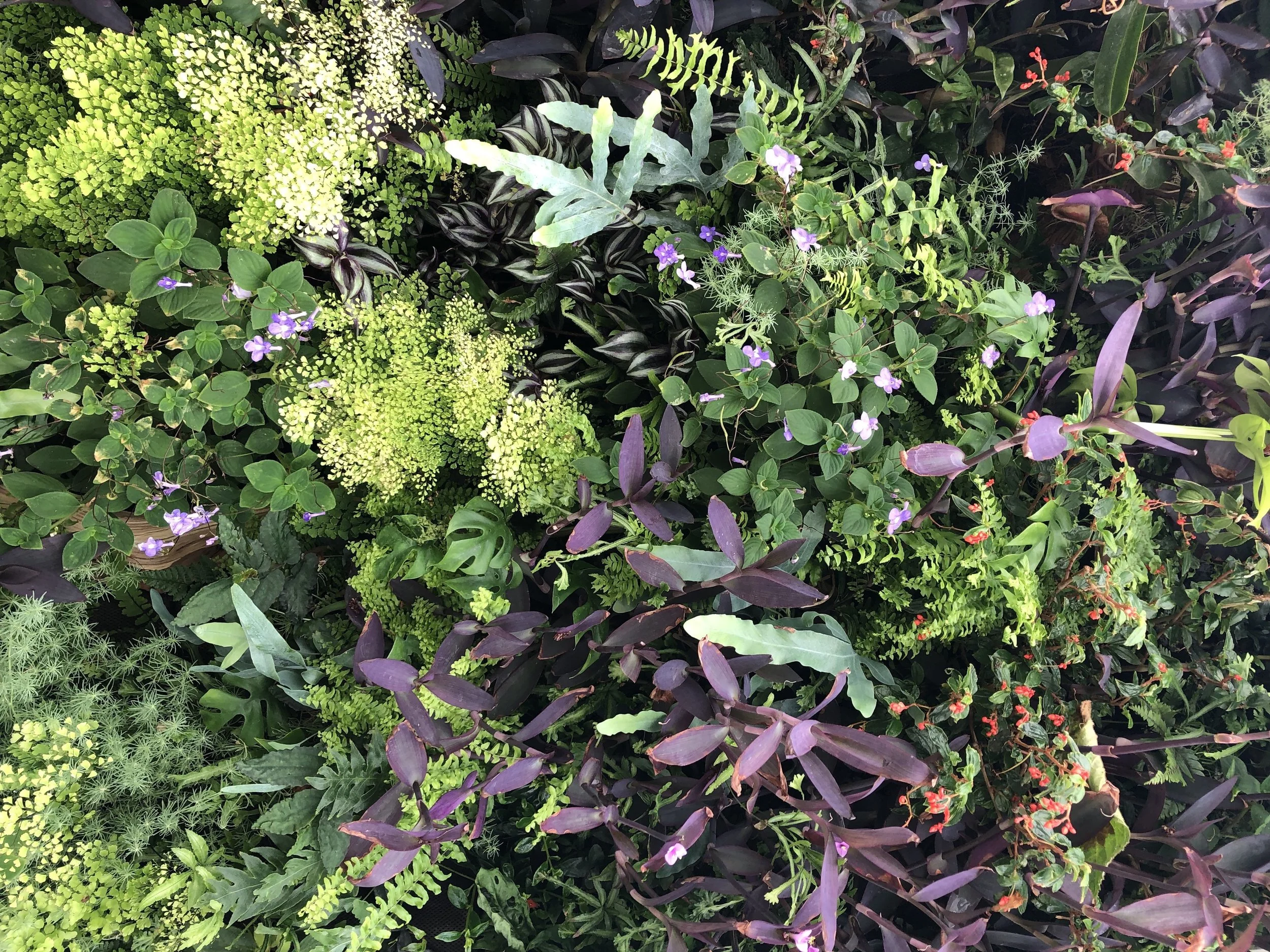 Tacoma Love: 5 Good Things - Vol. 3