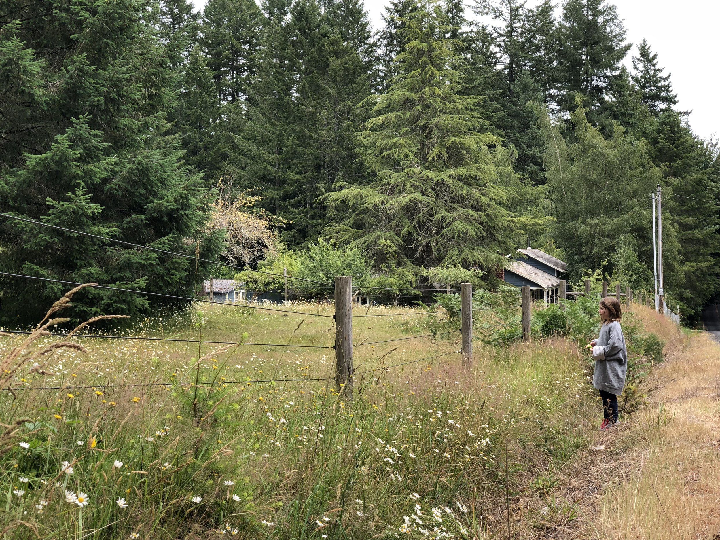 Horse pasture near Glen Cove