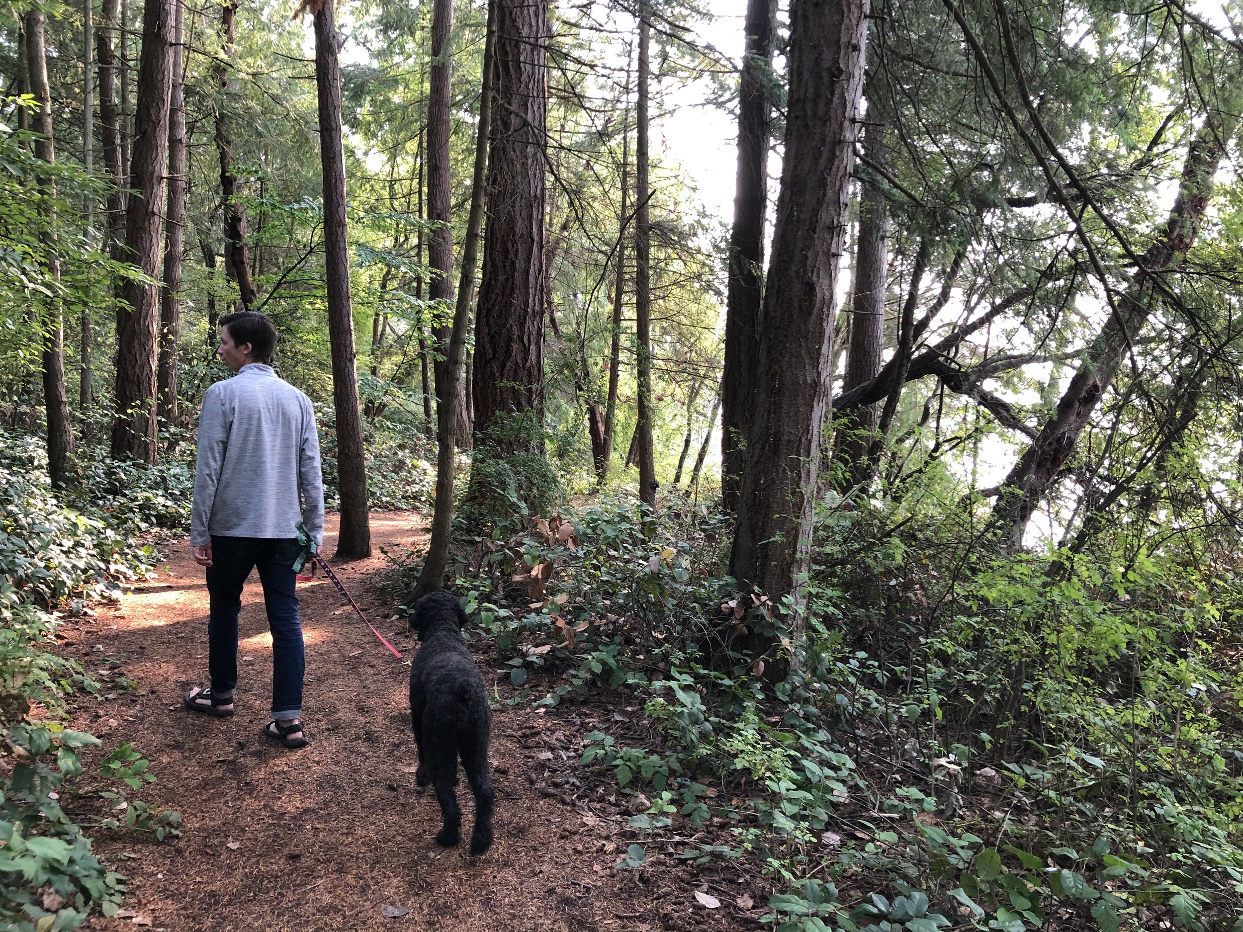 Titlow Trails.jpeg