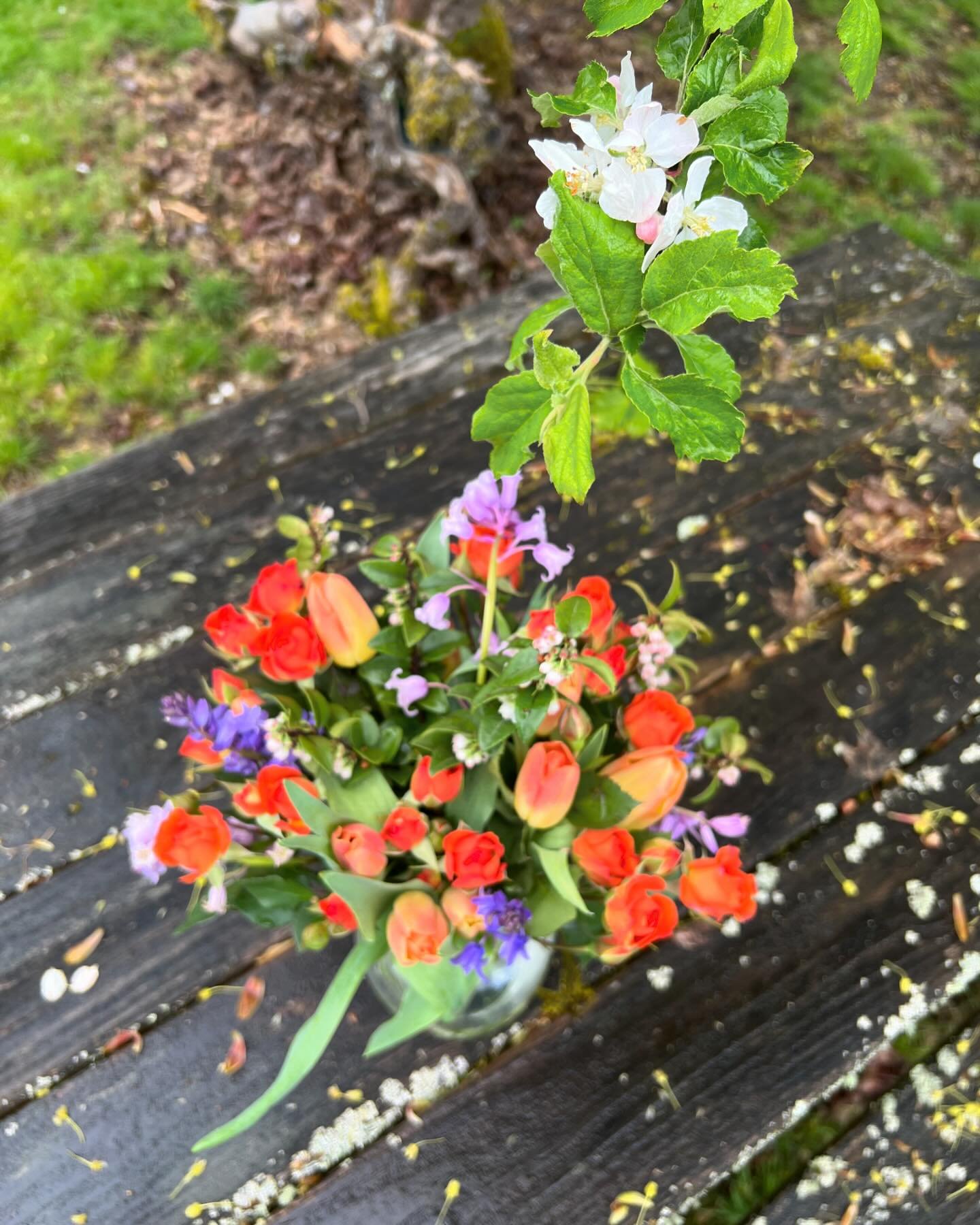 Today is closing day for our Community Central listing and that means it&rsquo;s time for flowers! 💐☀🎉 Listed 3/28/24, Under Contract 4/1/24, Closed 4/30/24 just as the oak tree out front is showing fresh new leaves. Let the rest of this post be an