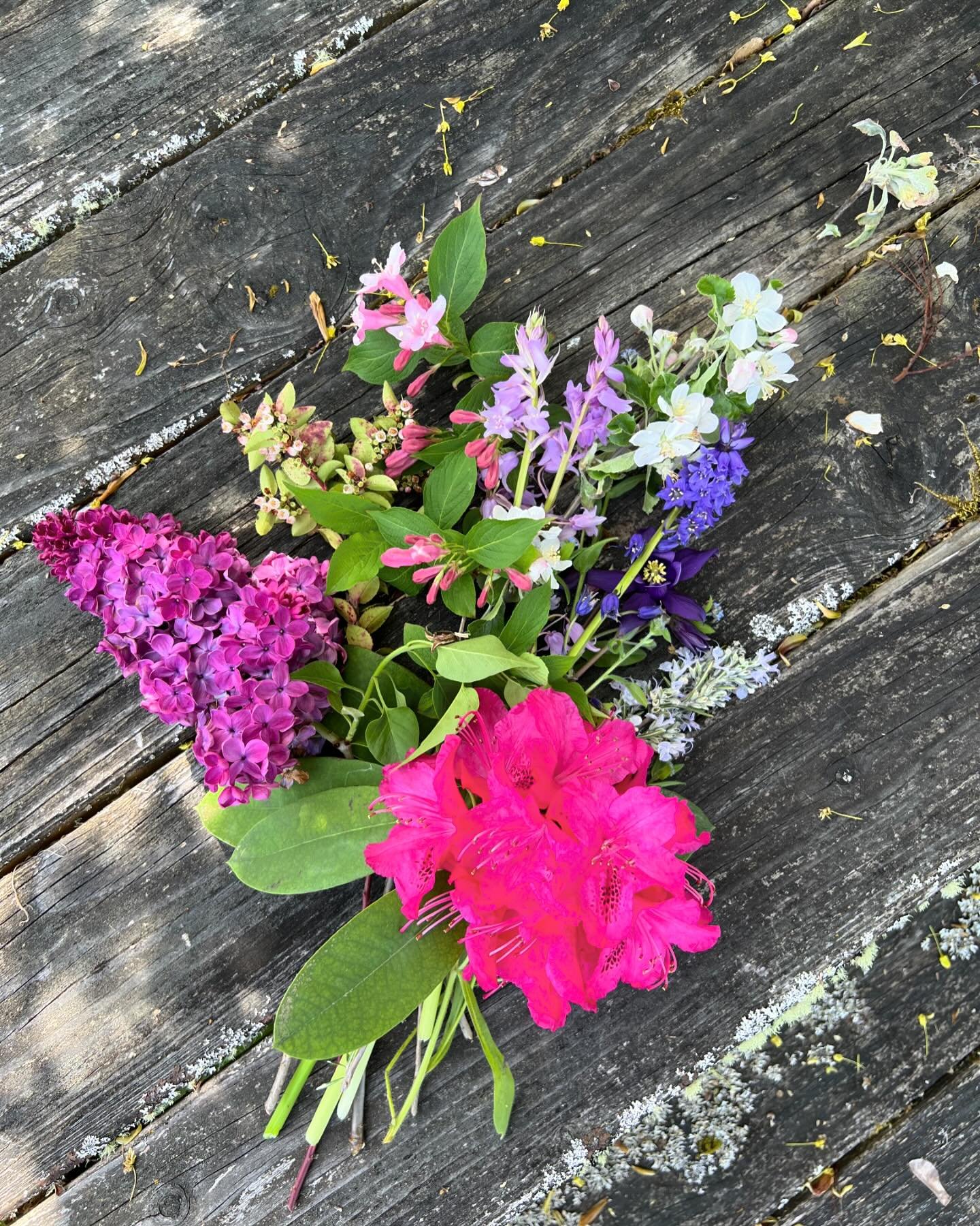 Happy May Day from the columbine and apple blossoms, the forget-me-nots, bluebells, lilac and huckleberry, from the rhododendron, weigela, and rosemary. They&rsquo;re singing with color and scent and humming with bees. Each year I bring in a sample o