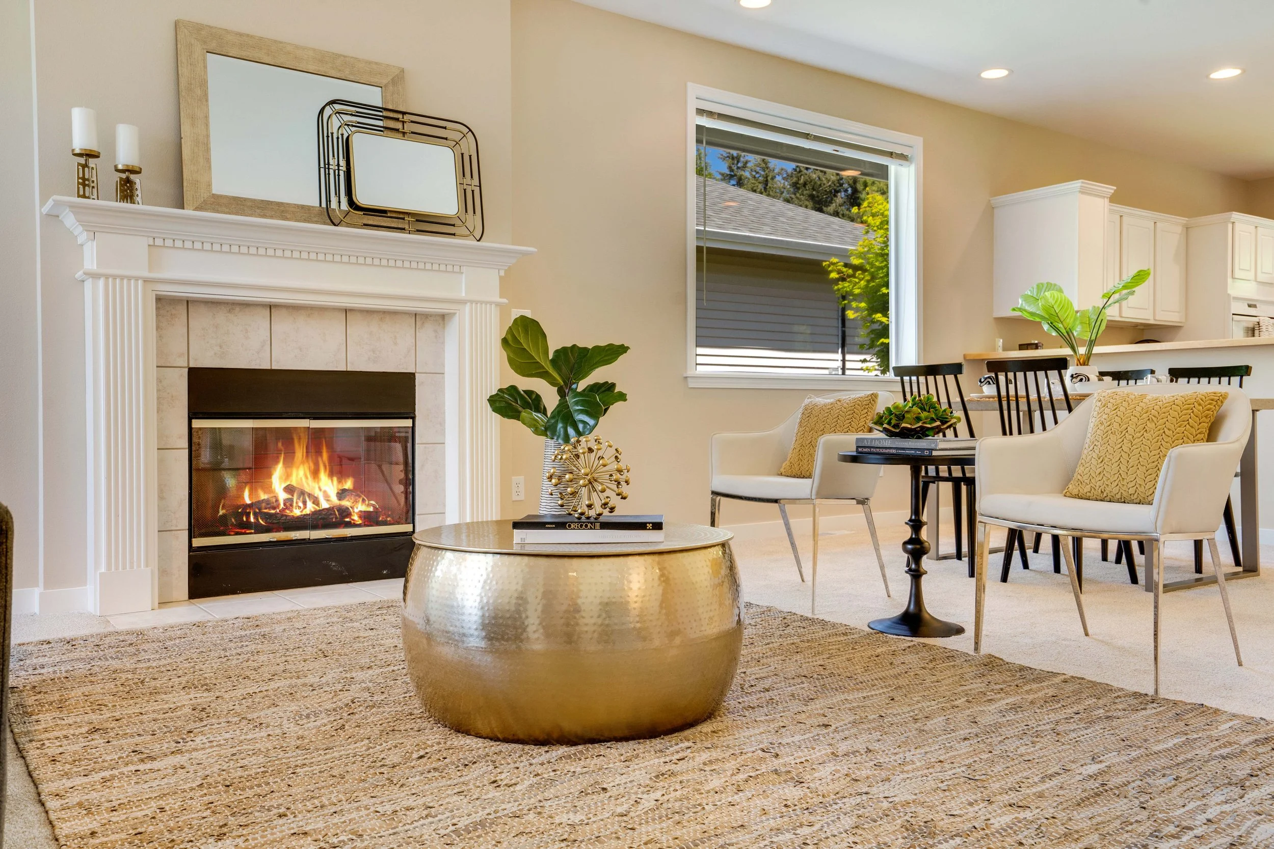 Gas Fireplace Insert, University Place Condo.jpg