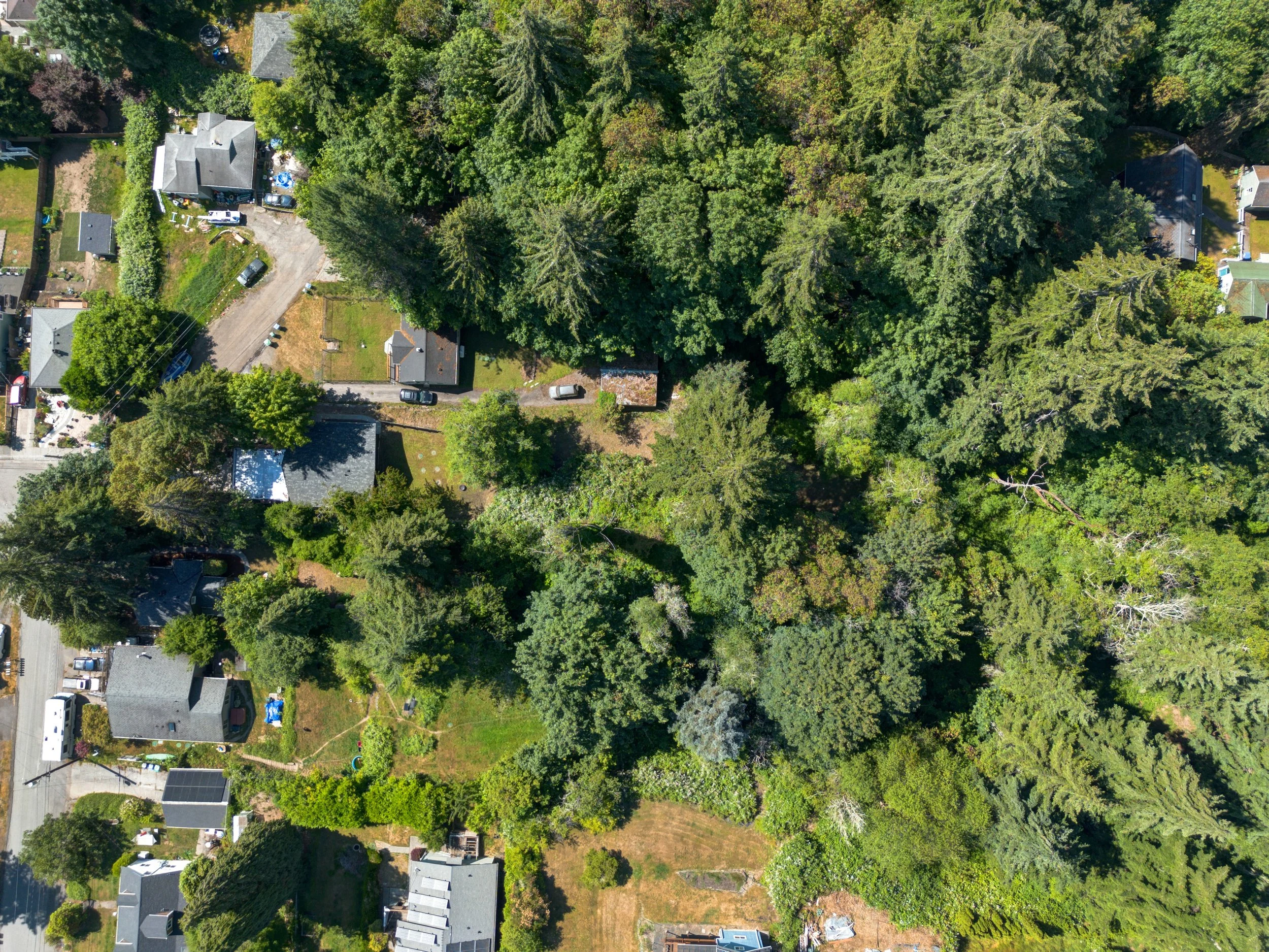 Aerial View 0.32 Acre Lot Manette.jpg