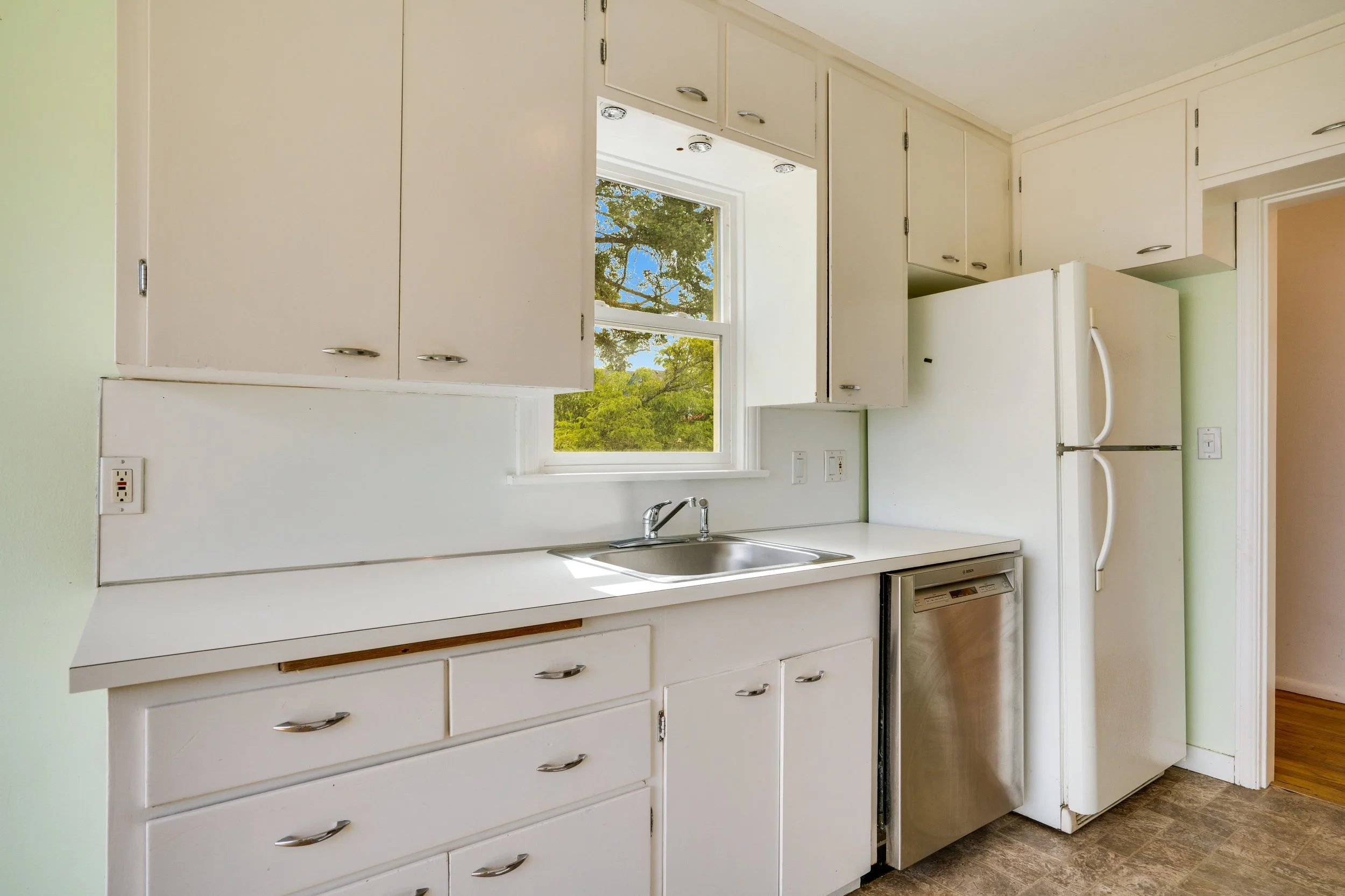 Dishwasher Old Town Potential.jpg