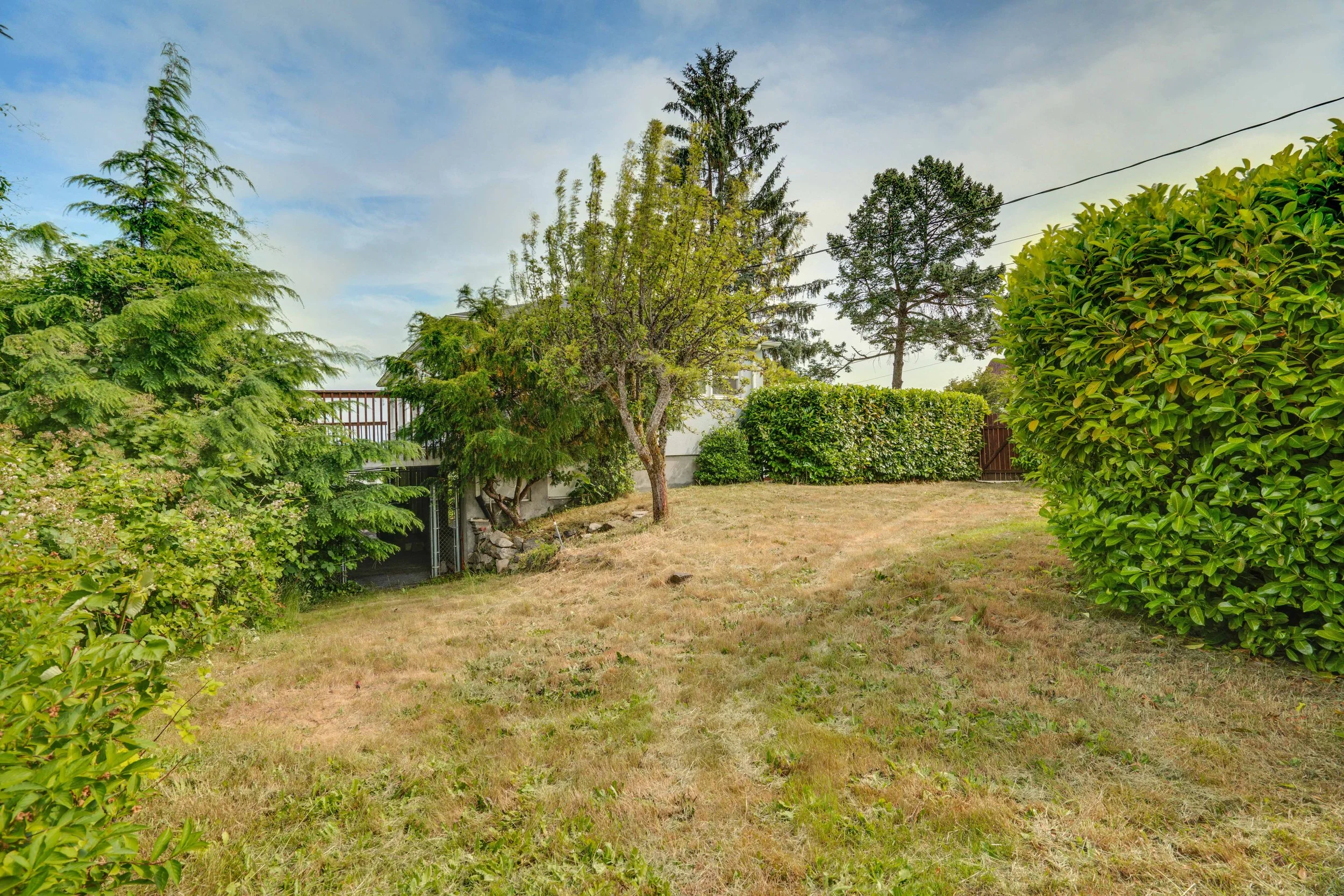 Side Yard Old Town Potential.jpg
