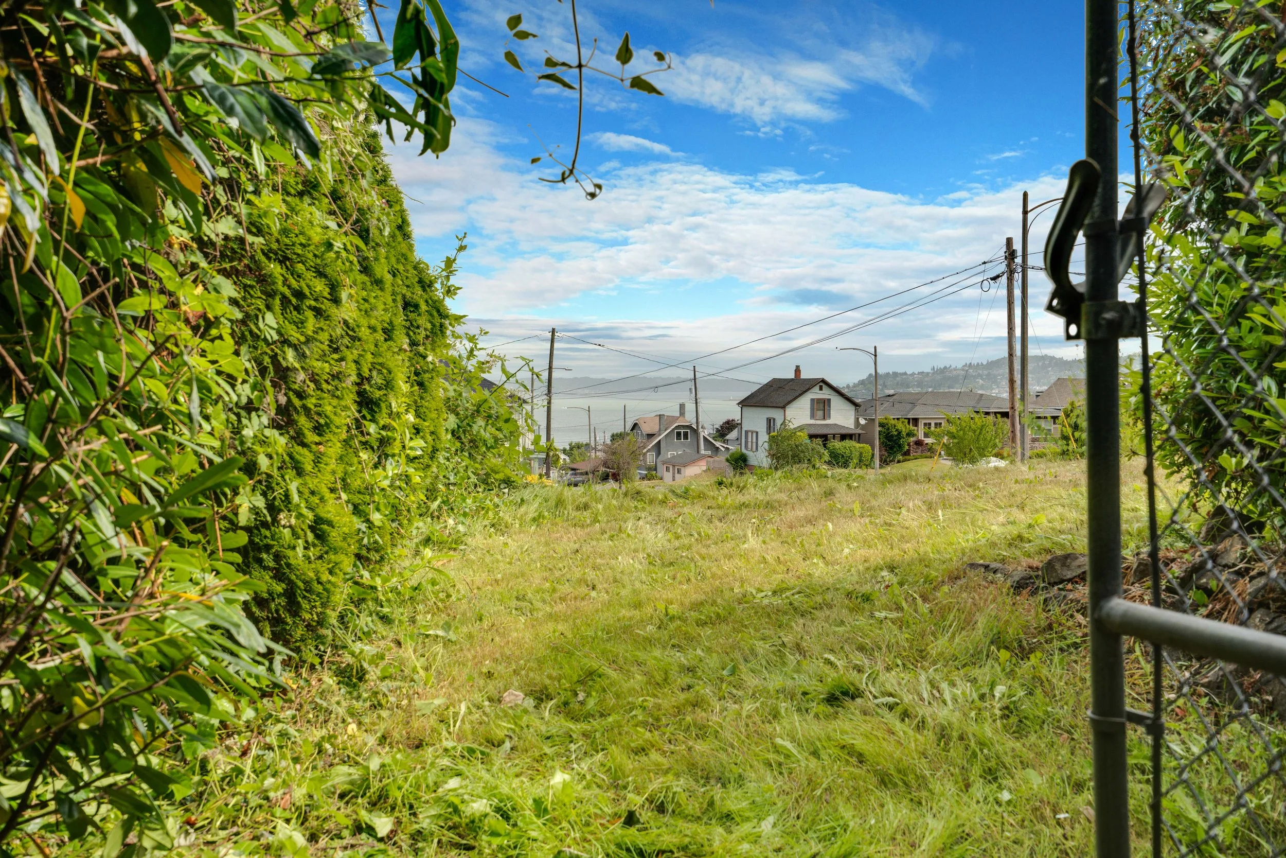 North Side Yard Old Town Potential.jpg