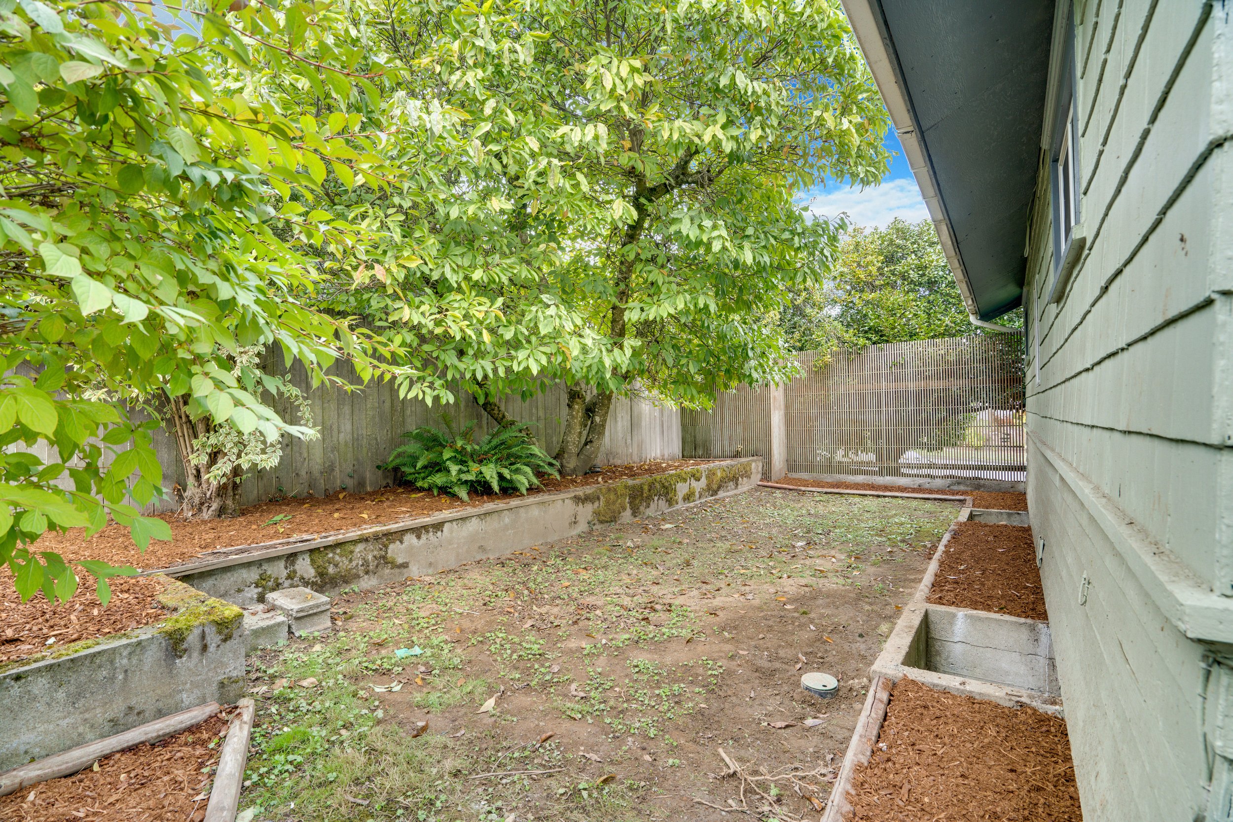 Side Yard with Magnolia South End Tacoma 2 Bedroom.jpg