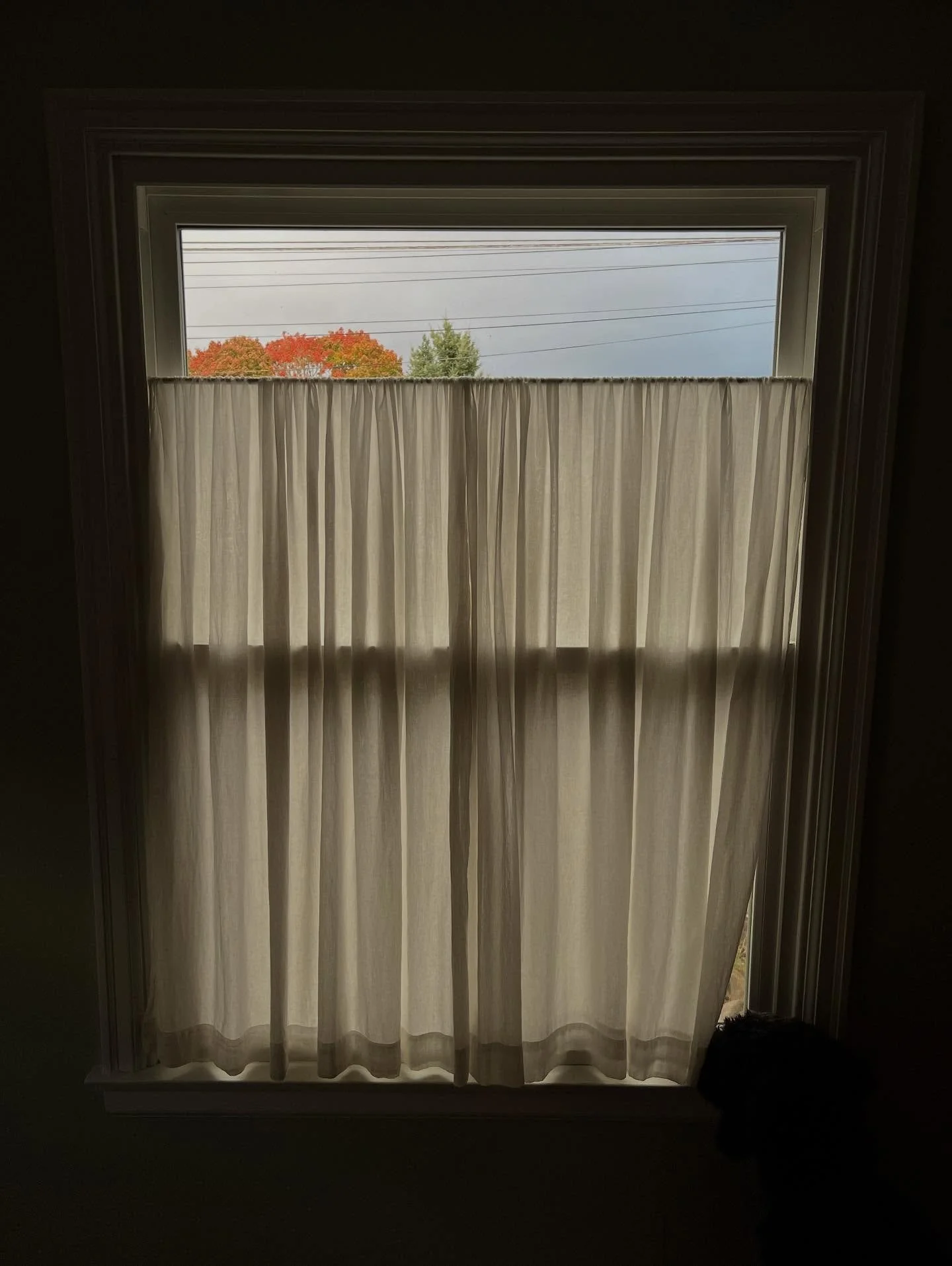 October morning. Inevitably, predictably, astonishingly next week is November. The light is later, the days narrowing like a blind coming down. I stay in bed a few moments after waking to think of something good. What&rsquo;s in this day to savor? Be