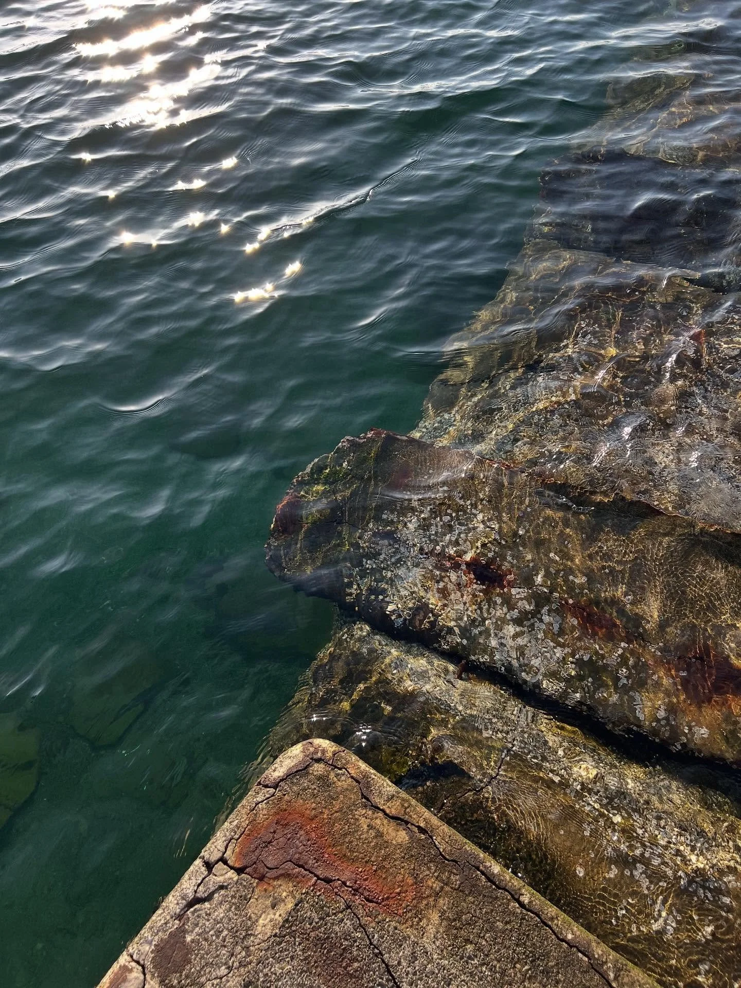 I try not to forget where we live. Not our address, but this whole place. -G
#tacomawa #titlowbeach #thenarrows