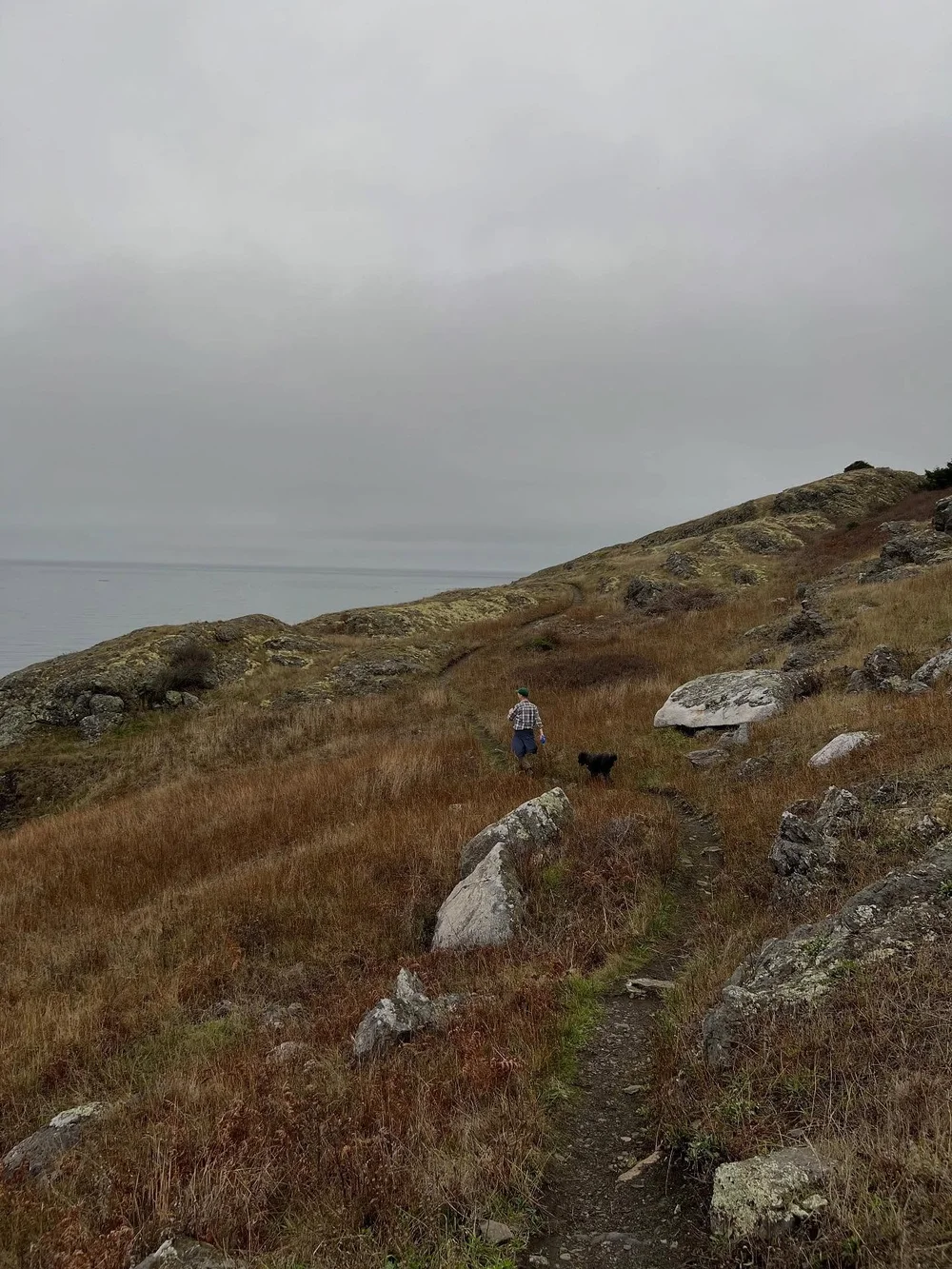 We came home from Lopez Island early Sunday morning, but my heart&rsquo;s still walking the narrow path along the rocky cliff at Iceberg Point. An open, winding way through the grass with kelp streaming below. Bracken fern gone chestnut. Wild roses i