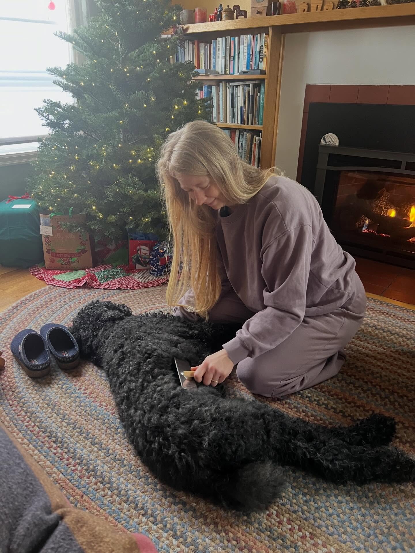 Home time before and after and in-between the festivities. At this point the batteries are out on two of the strands of Christmas tree lights, and that seems about right. -G

#christmasseason