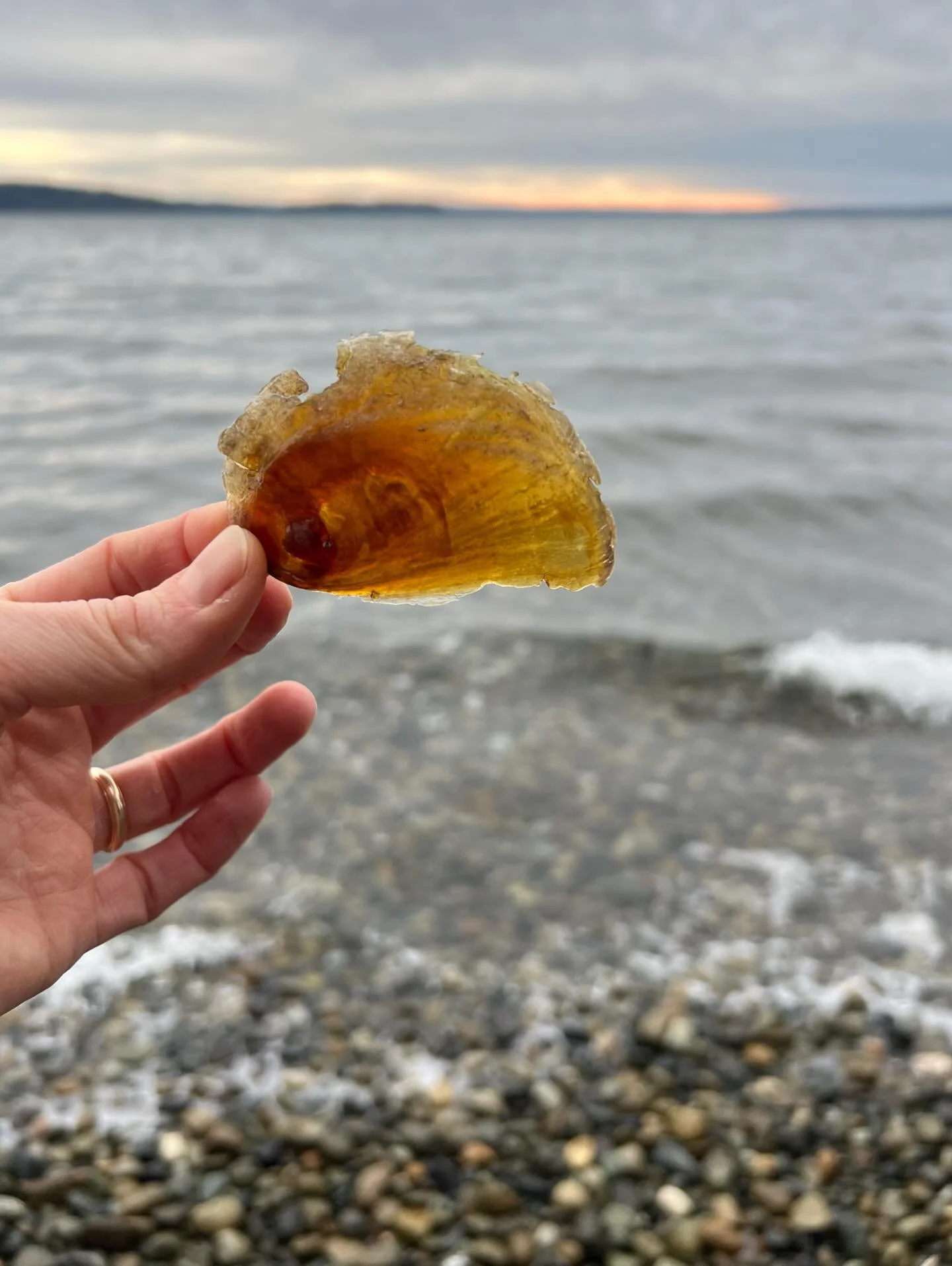 For years it&rsquo;s seemed I could appropriately accompany every post here with Wisława Szymborska&rsquo;s line &ldquo;Forgive me foreign wars for bringing flowers home,&rdquo; with the understanding that, of course, we don&rsquo;t need to look outs