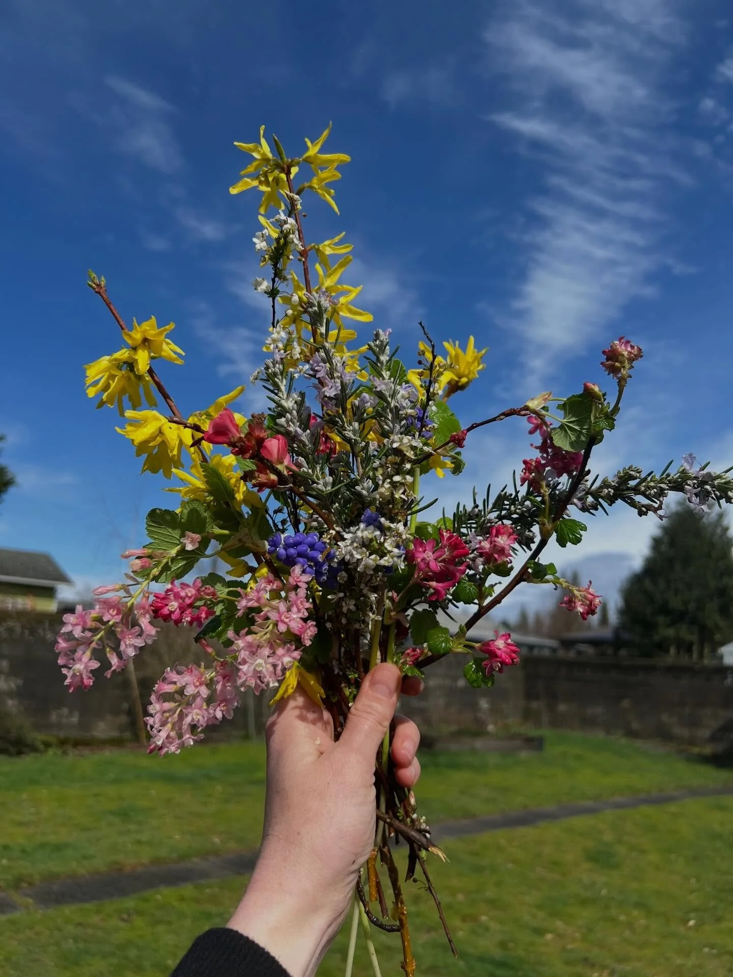 At first I didn&rsquo;t think I had the heart for it, then the sun came out. So I went out too, picked our annual spring equinox &ldquo;what&rsquo;s in the garden&rdquo; bouquet. And I felt more alive and growing and greening than I thought I could t