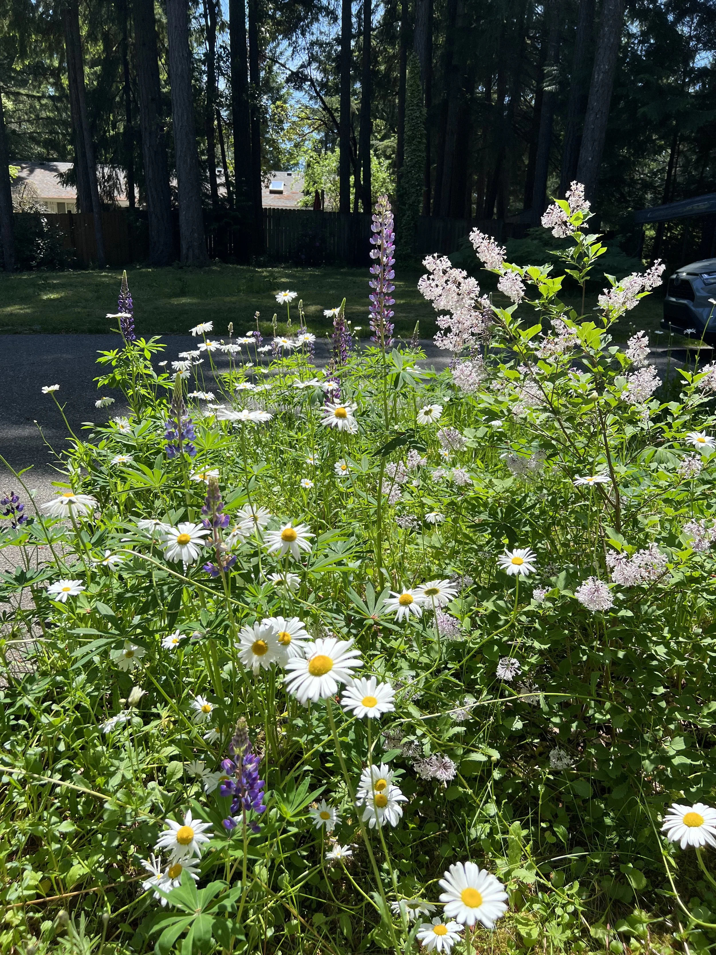 IMG_1642.jpeg