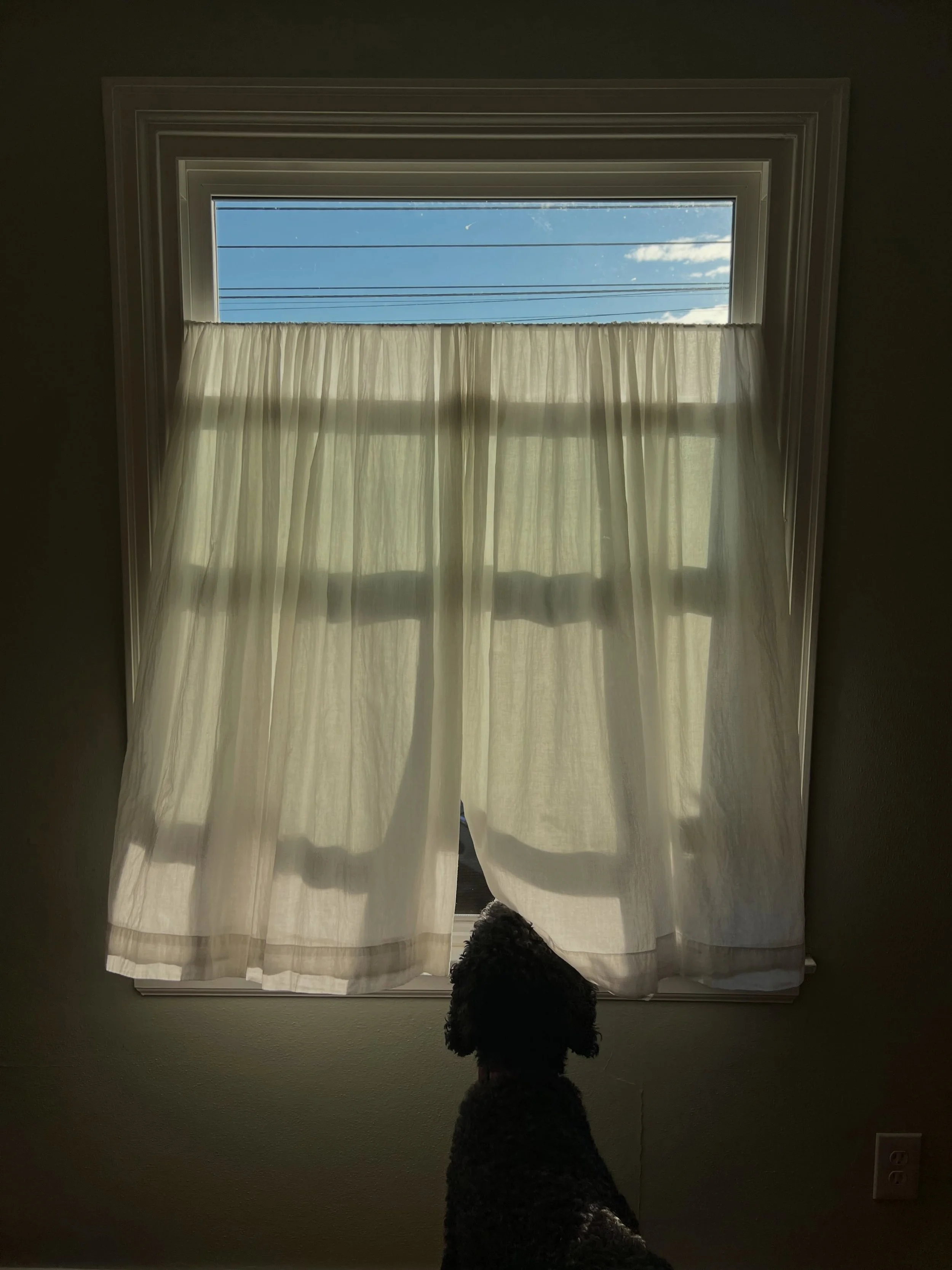 I wanted a bedroom window with no need of a curtain, with no street outside, so all the light could get in and I could see the sky from bed. But I wouldn&rsquo;t have had this. -G