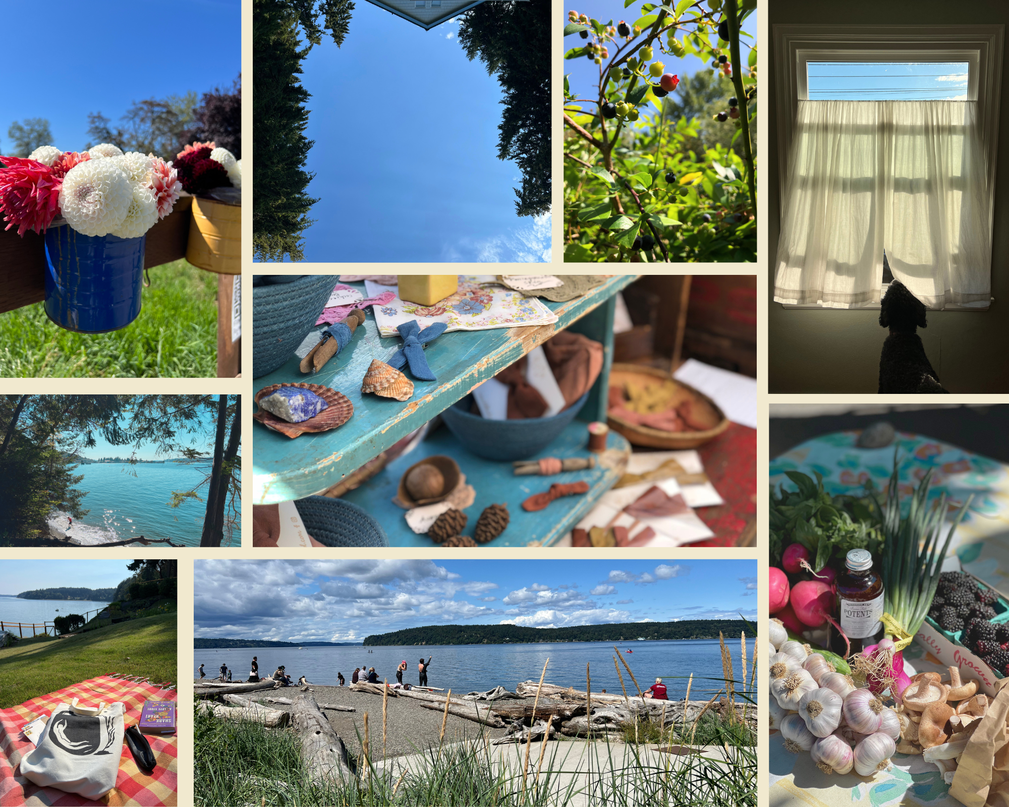 Savoring Summer - In and Around Tacoma, Vol. 2