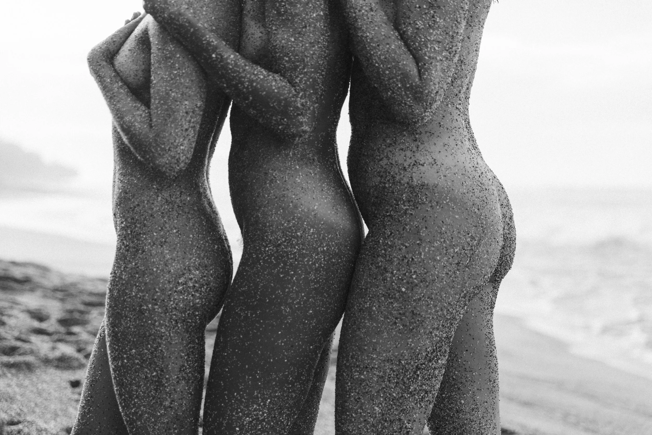 116_Wild_010220.JPG