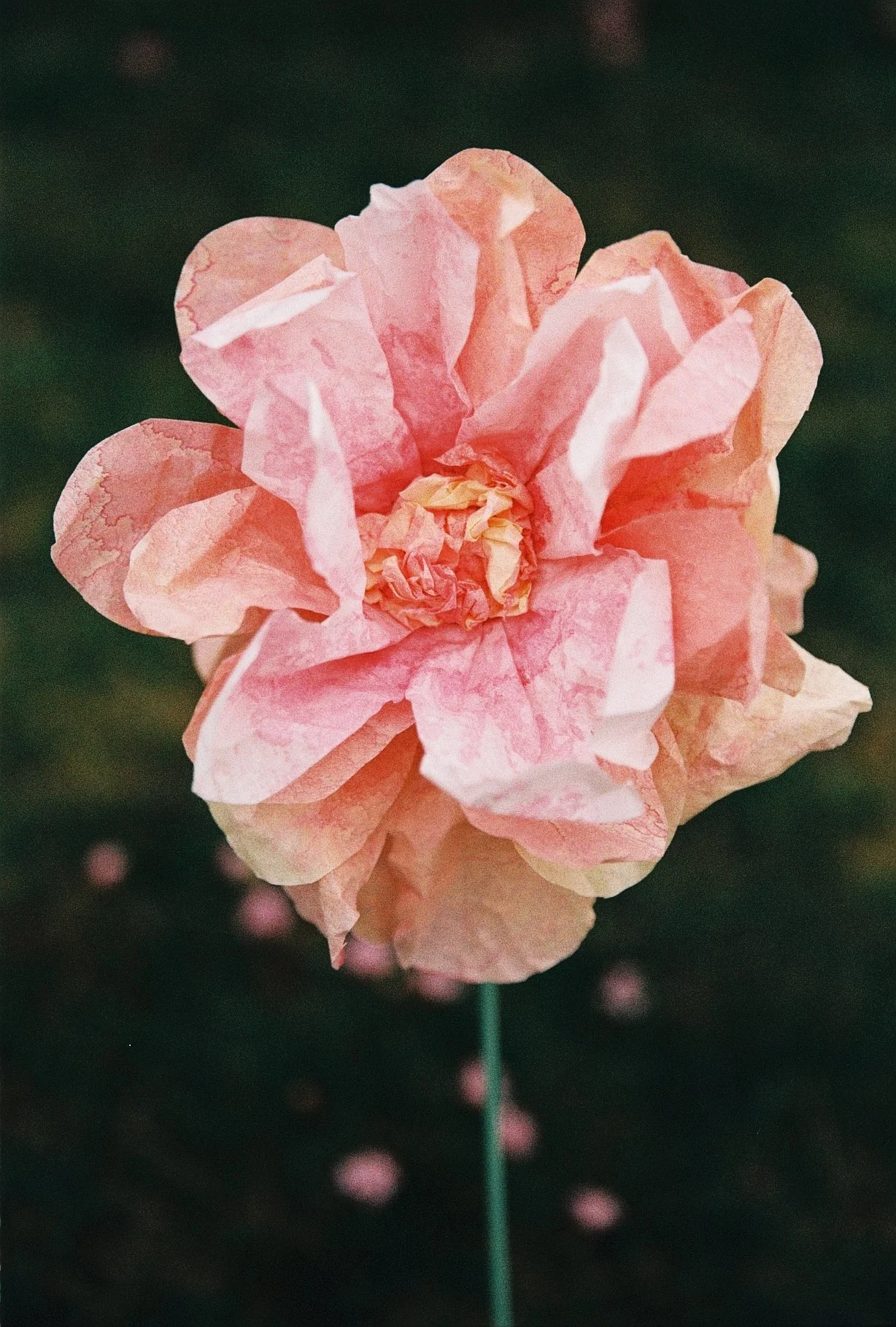 R1-04051-033A.JPG