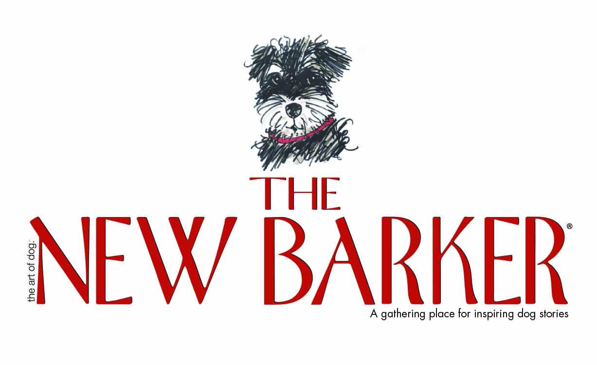 Angel_TheNewBarker_NewTagline.jpg