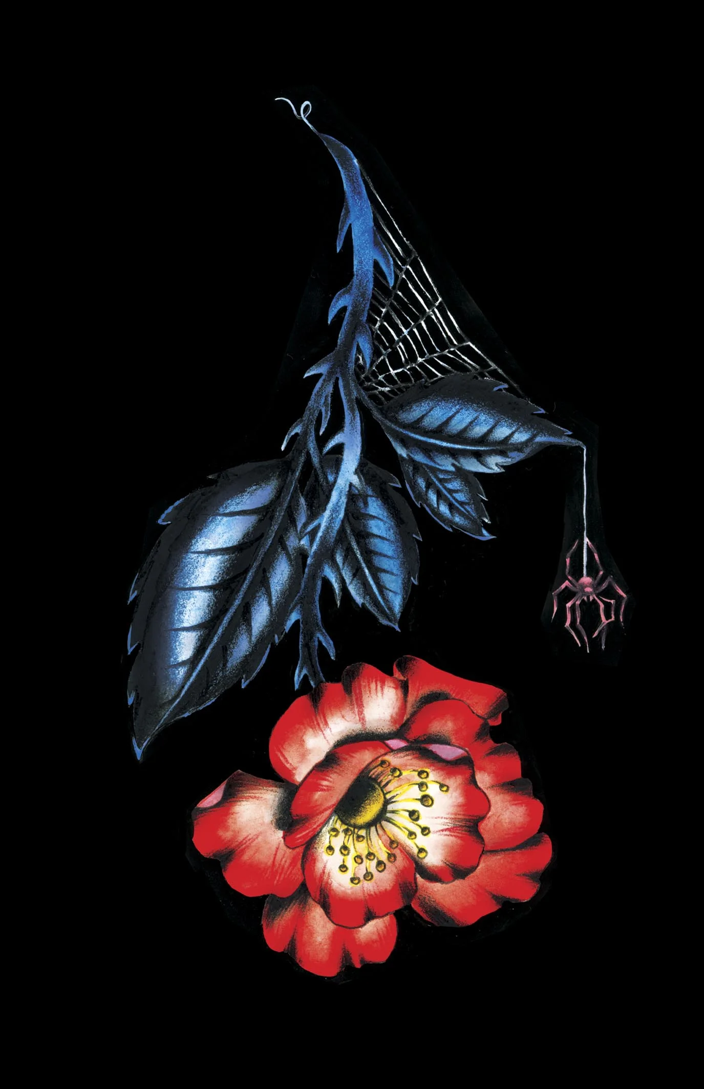WildRose&Spider.jpg