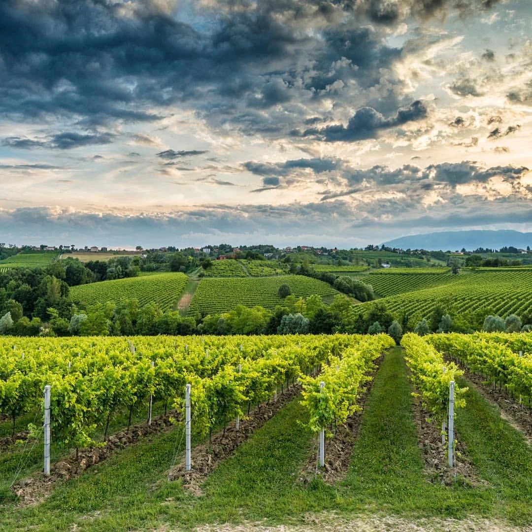 Prosecco Il Colle