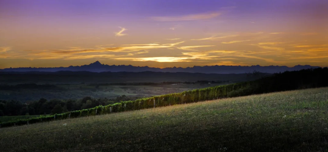 Castellari Bergaglio