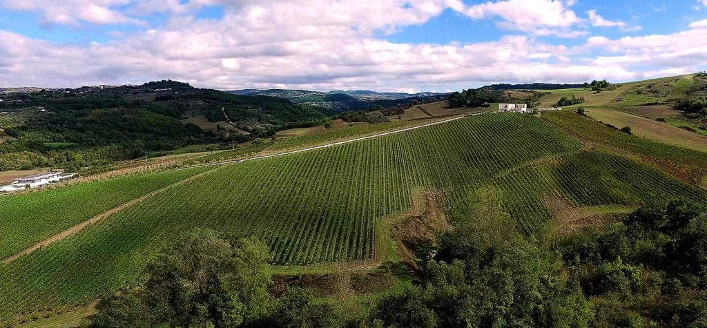 Fonzone