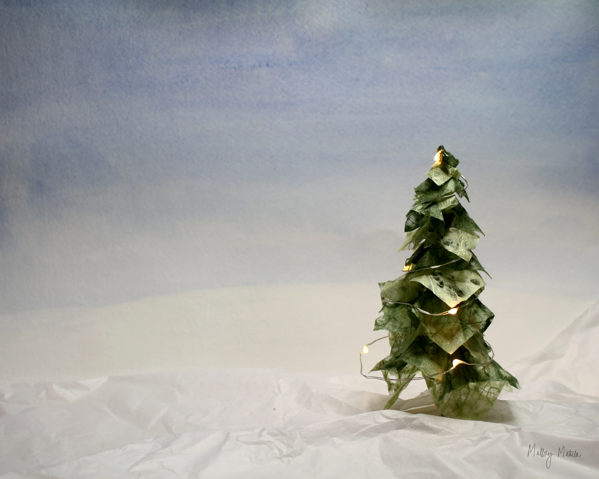 Pine_Tree.jpg