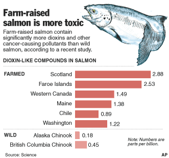 salmon.gif