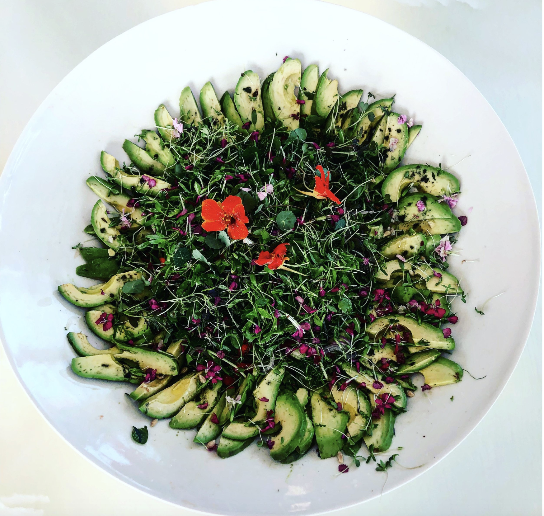 Screen Shot 2020-02-22 at 2.06.35 PM.png