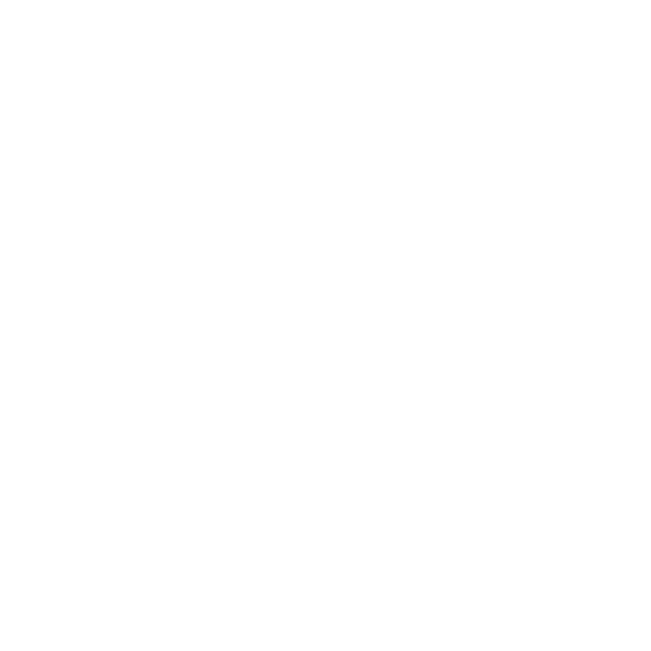 LN_Brands_essence.png