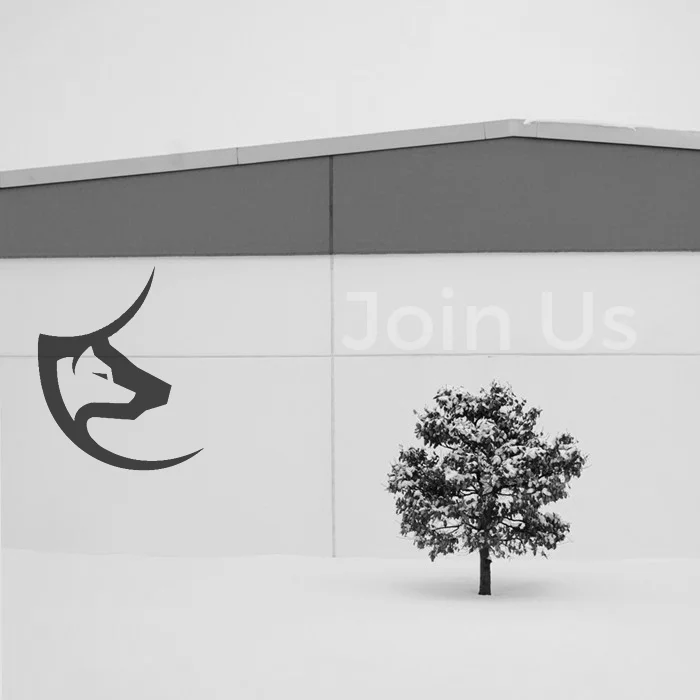 Australia S Leading Blockchain Crypto And Business Consulting Experts Lupotoro Investment Capital Tech Entertainment