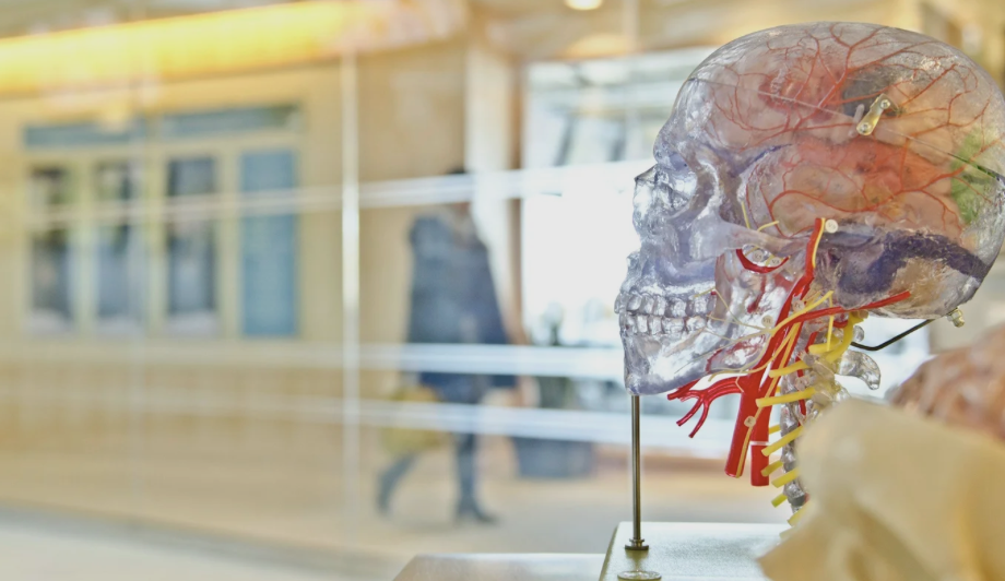 Medical AI Outperforms Doctors, whilst New Research Reveals Bias Toward AI Ethics Over Human Judgments 