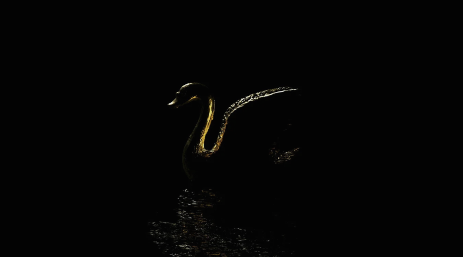 Bitcoin’s Black Swan: How the Return of Satoshi could pose a $75 billion Threat