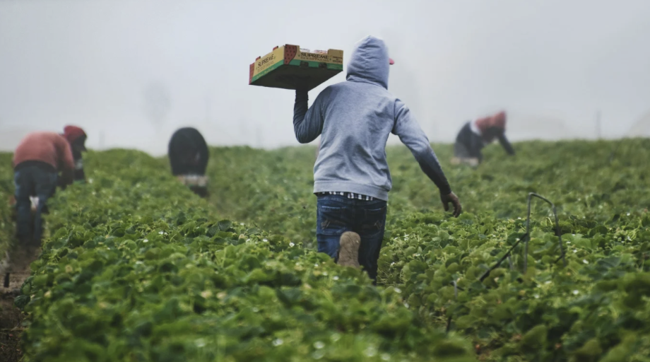 The Case for Cost-Effective Labor