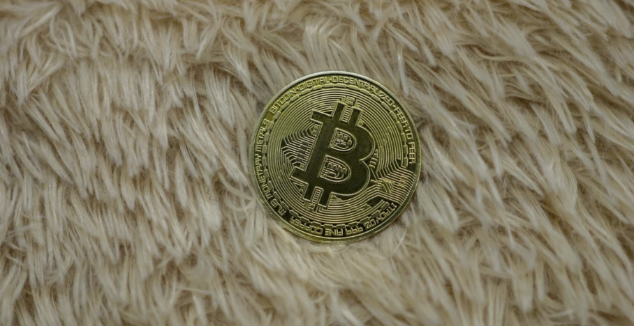 Why Bitcoin Could 5x Between November 2024 and December 2024: A 2022 Analysis