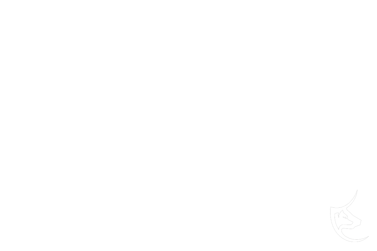 lupotoro Global Strategy & Solutions