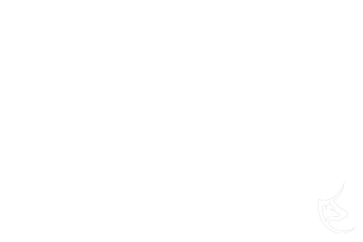 Sovereign Initiatives Defense, AI, Security, Healthcare, Robotics
