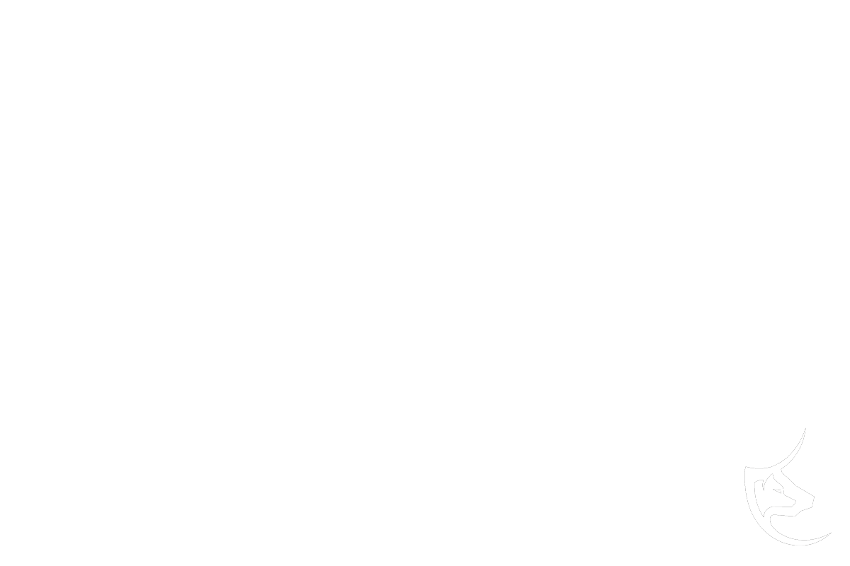 lupotoro group Neo Technologies