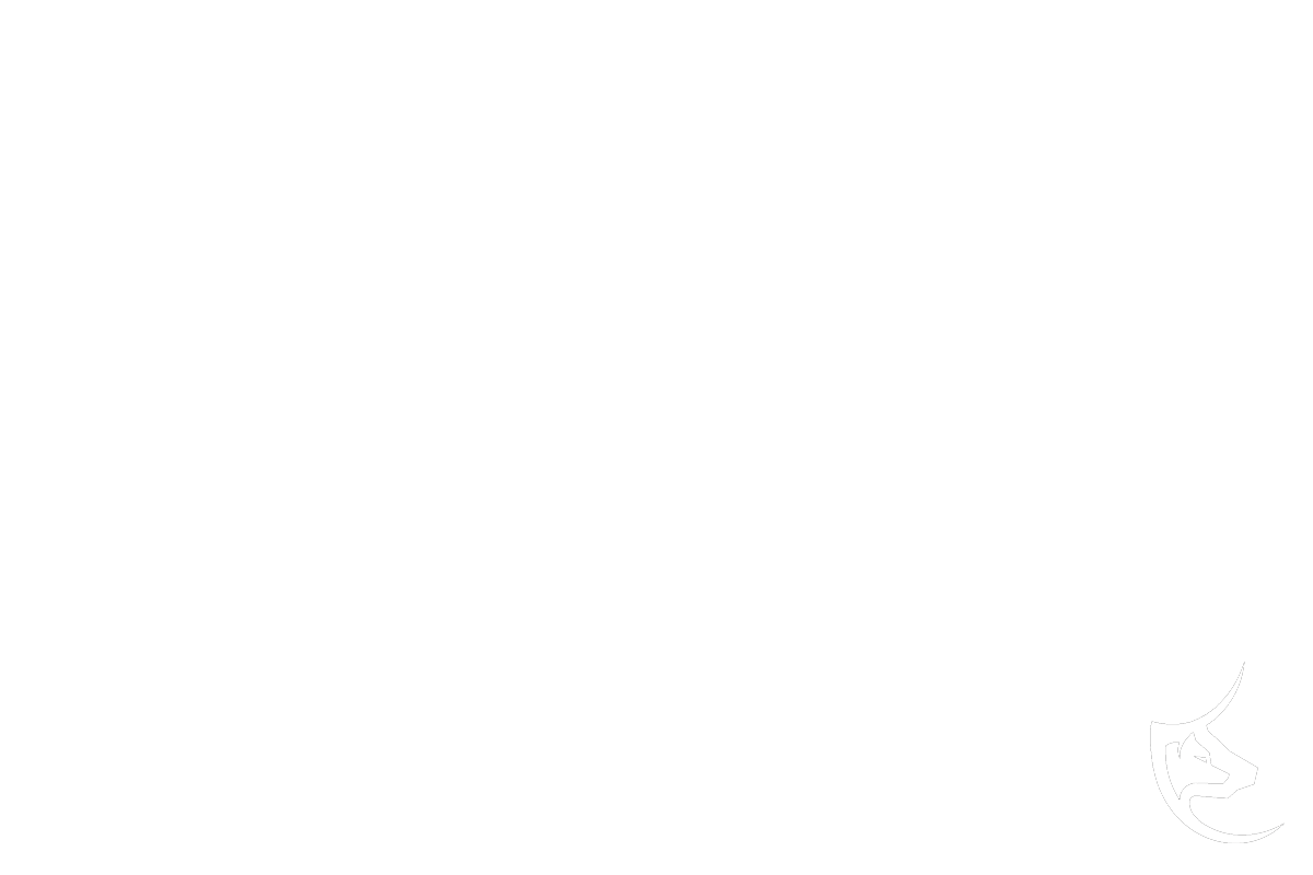 lupotoro capital strategy