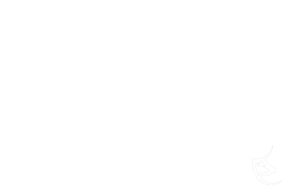 Strategic Intelligence for NGO and likeminded partners