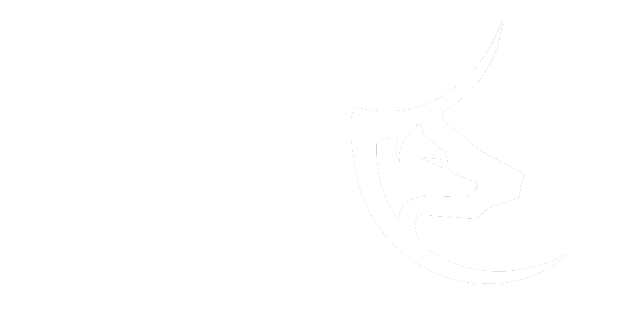 LupoToro