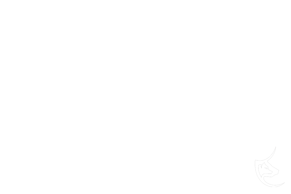 adaptive intelligence Israel