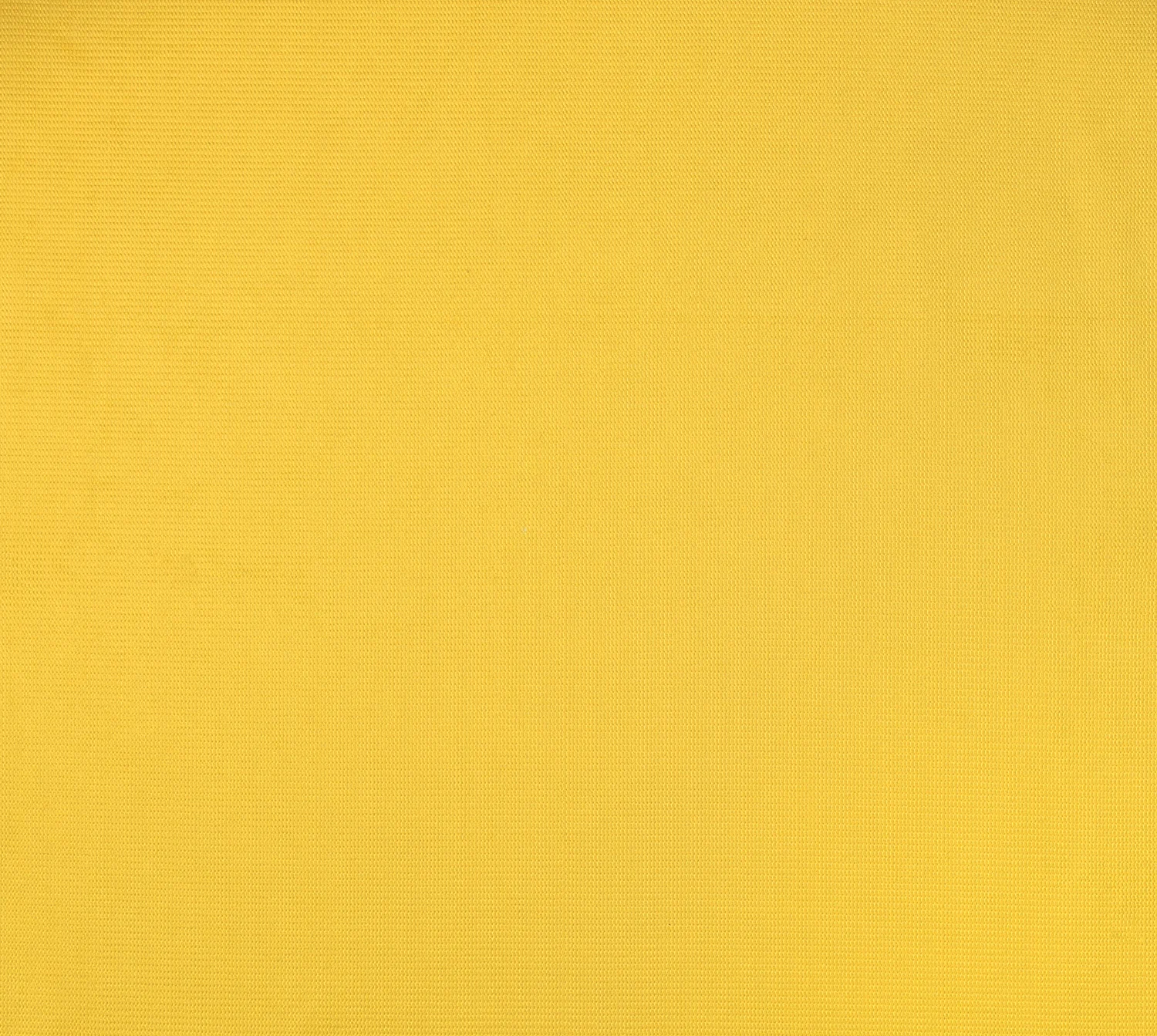 Primary Yellow