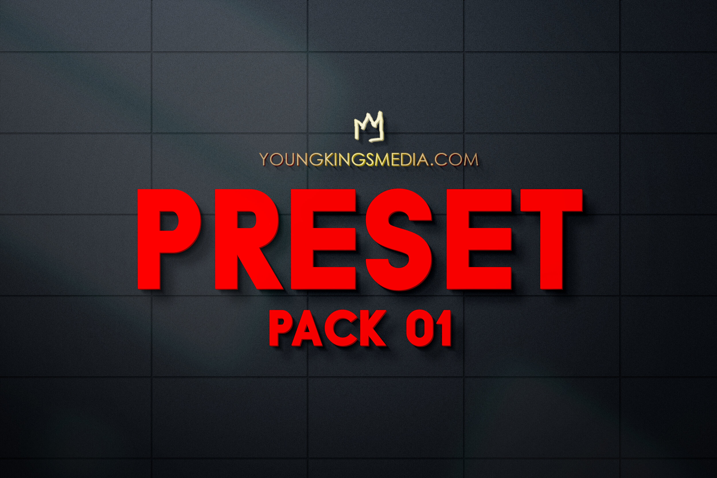New_Logo_Mockup PRESET PACK 01.jpg