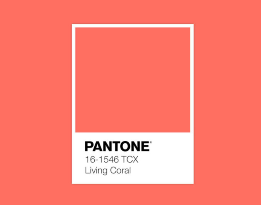 Screen Shot 2019-07-26 at 2.29.48 PM.png
