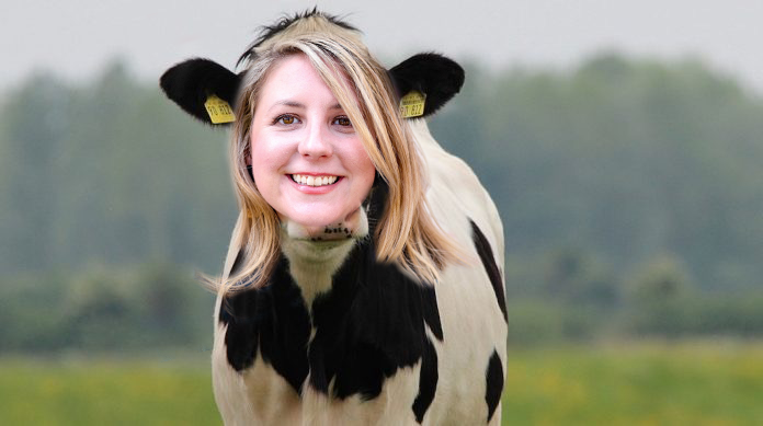 I Am Not A Cow: I'm A Marketing, Social Media, Content Professional 