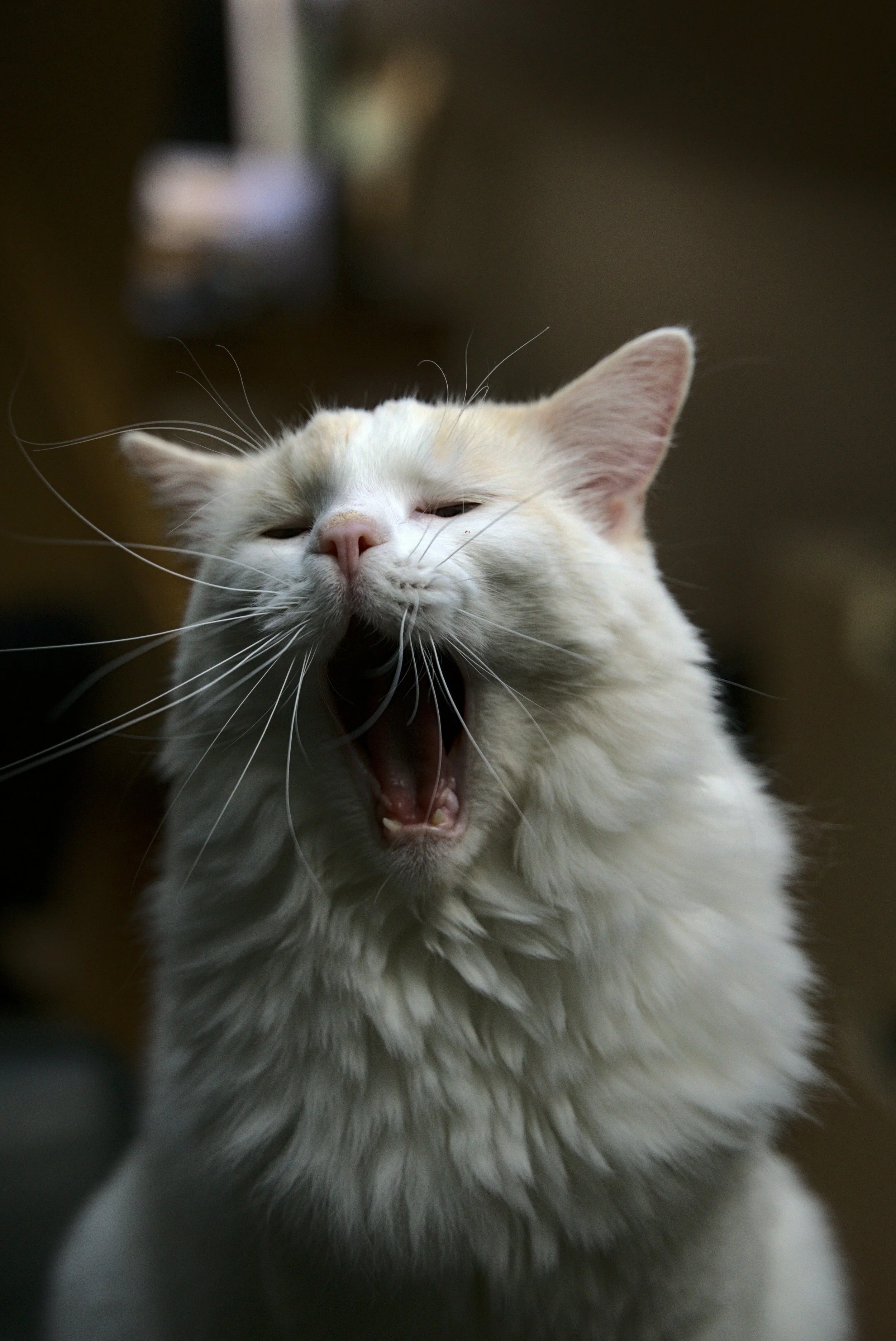 Storytelling in Content Marketing: Your Industry Isn't Boring, But Your Content Is