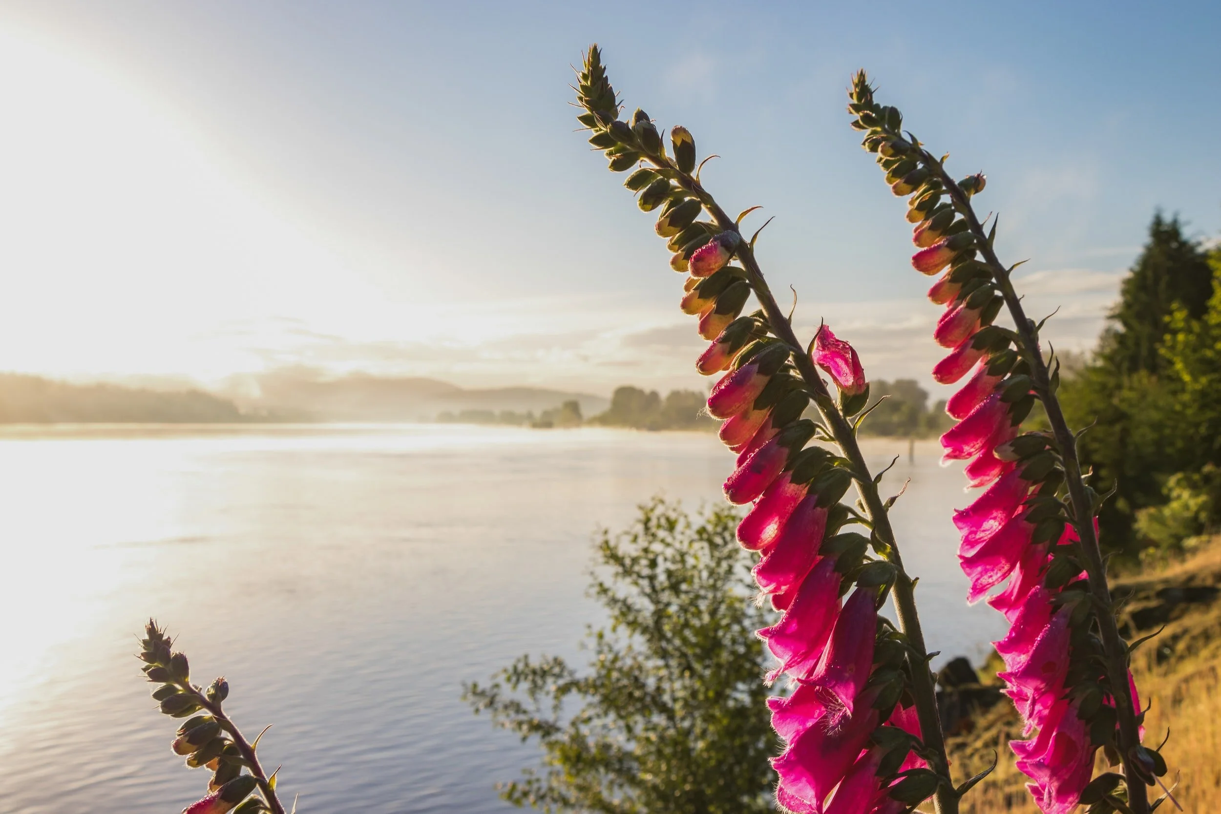 unsplash-image-9N9TbURENF4.jpg