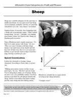Sheep